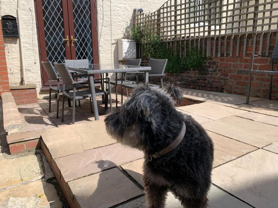 Award Winning Pet Friendly Paddock Cottage Whitby Exterior photo