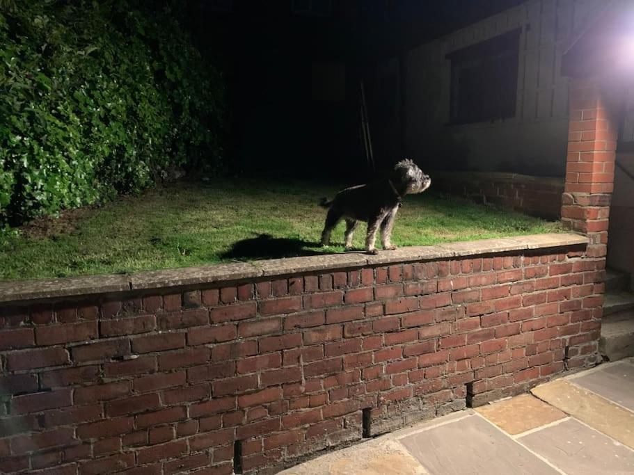 Award Winning Pet Friendly Paddock Cottage Whitby Exterior photo